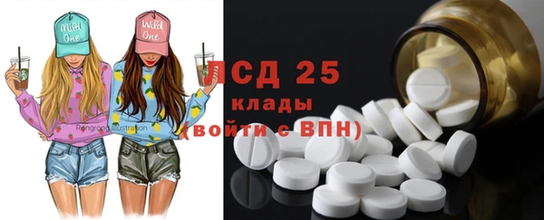 индика Нея