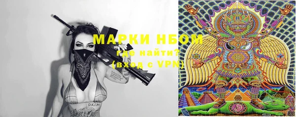 индика Нея