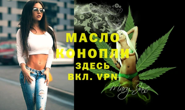 индика Нея