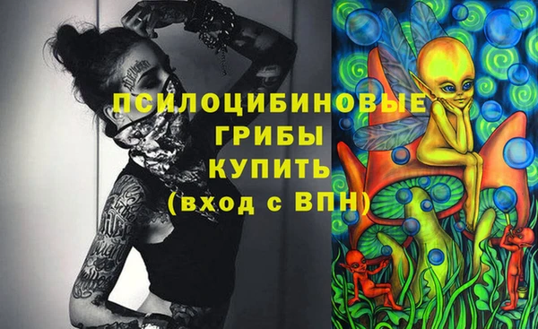 меф Нефтегорск
