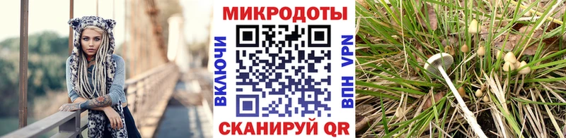 Купить  Холм  Галлюциногенные грибы мухоморы 