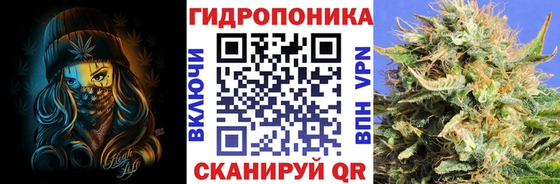 МАРИХУАНА LSD WEED  Купить закладки  Холм 